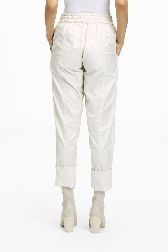 #color_astro-sheen-ivory