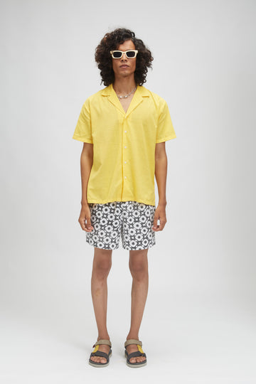 hi_live_theme #color_solar-yellow