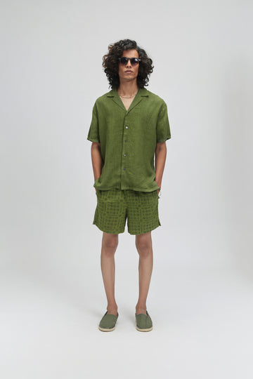 hi_live_theme #color_olive